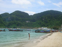 Koh Phi Phi - there really are lots of boats
