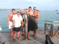 6 foot sailfish caught  in local waters