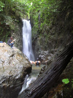 Take a dip in Bang Pae waterfall