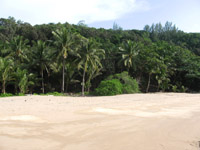 Banana Beach is ringed by trees