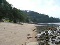 Rocky seabed at Rayee Beach