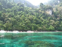 wonderful snorkeling in the turquoise waters off Monkey Beach