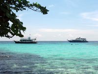 You can arrange snorkel and dive trips in the wonderful clear water around Koh Racha