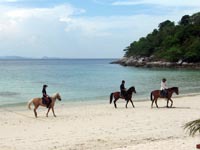 there is a horse riding club on Koh Racha Yai